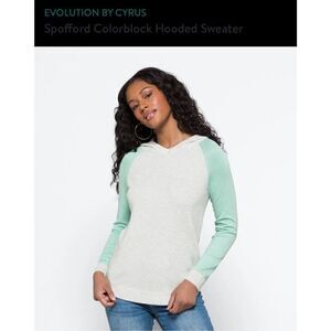 Colorblock Hoodie Sweater  